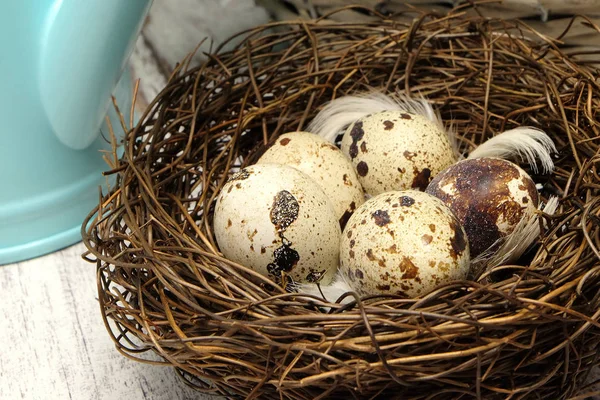 Huevos en el nido — Foto de Stock