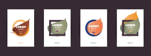 Coleção de Autumn Poster, Folheto, Cartão, Banner, Label or Cover Template Designs - Folhas caídas coloridas — Vetor de Stock