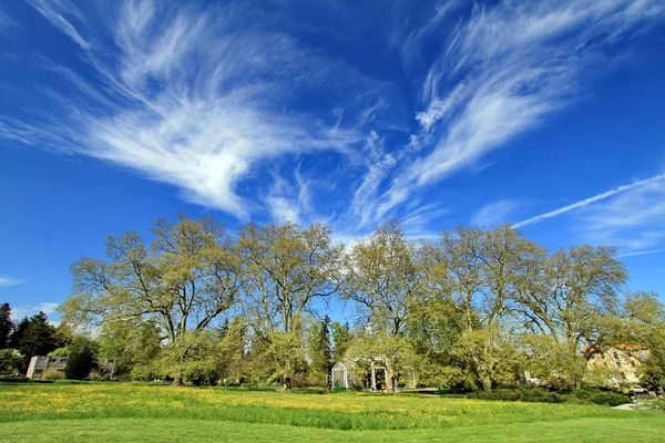 Prachtig natuurlandschap met blauwe lucht — Stockfoto