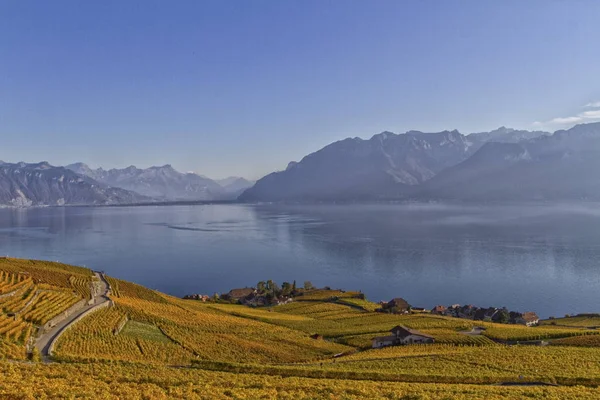 Uitzicht over het meer van Genève vanaf het Lavaux — Stockfoto