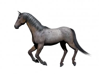 Beyaz arka plan - 3d işleme beyaz ve Gri ata