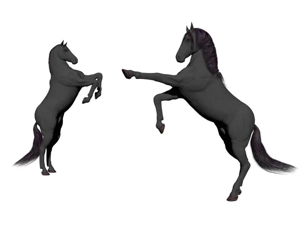 Paar witte paard op witte achtergrond - 3d rendering — Stockfoto