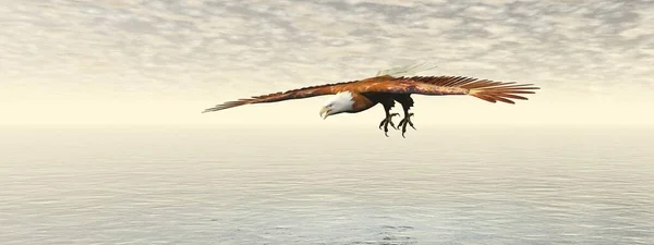Águila calva volando - Representación 3D —  Fotos de Stock