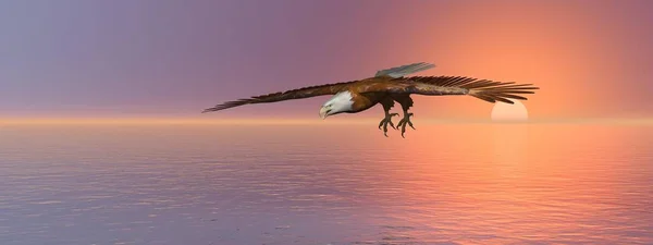 Weißkopfseeadler fliegen - 3D-Darstellung — Stockfoto