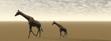 Zürafa annesi ve küçük bebeği - 3D görüntüleme