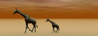 Zürafa annesi ve küçük bebeği - 3D görüntüleme
