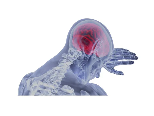 关于白底大脑的几个问题- - 3D渲染 — 图库照片