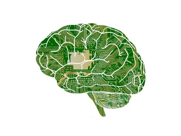 Várias perguntas sobre o cérebro sobre fundo branco - renderização 3d — Fotografia de Stock