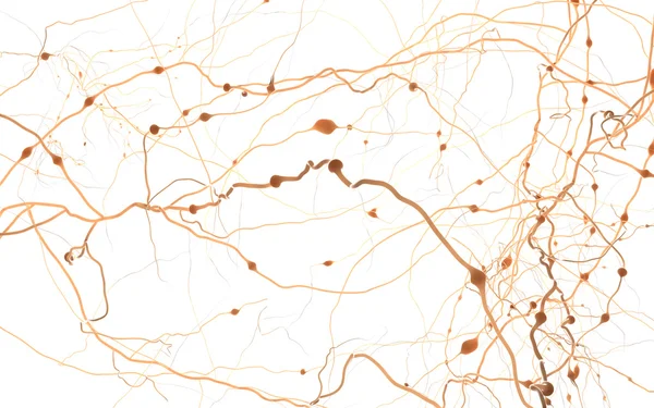 Neuron cells network, concept of neurons and nervous system 3D i