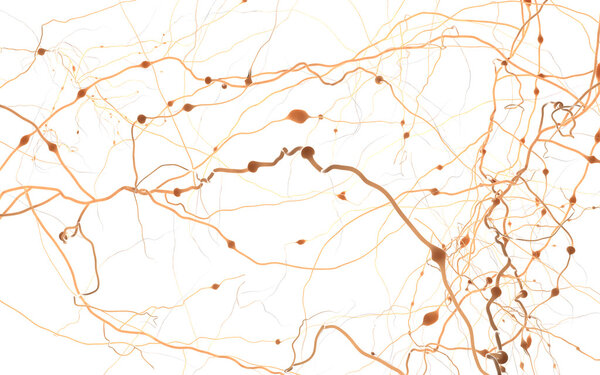 Neuron cells network, concept of neurons and nervous system 3D i