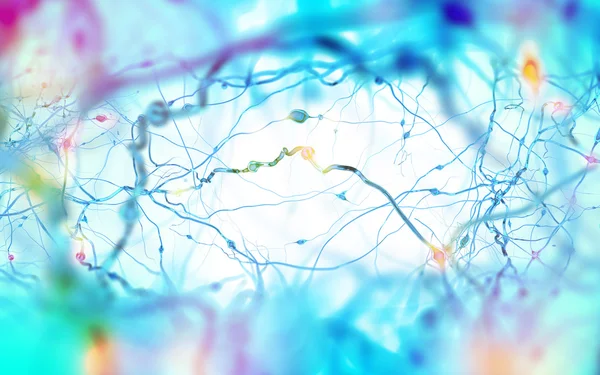 Réseau de cellules neuronales, concept de neurones et système nerveux 3D i — Photo