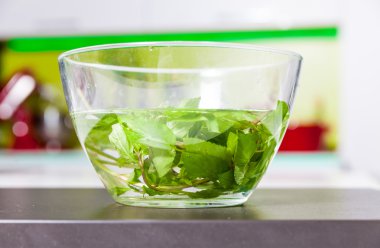 Tabağına su dolu nane 