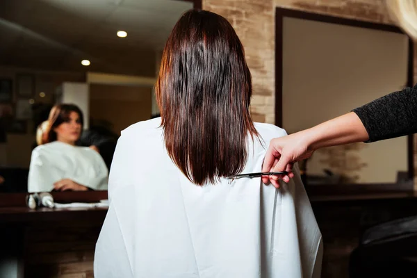 美容師の長い毛をカット — ストック写真