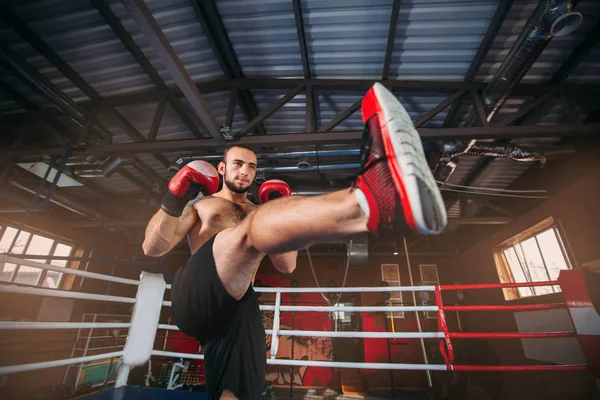 Боксер в червоних боксерських рукавичках на тренуваннях — стокове фото