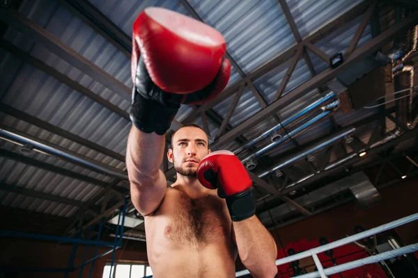 Boxeador tomando posición en el entrenamiento — Foto de Stock