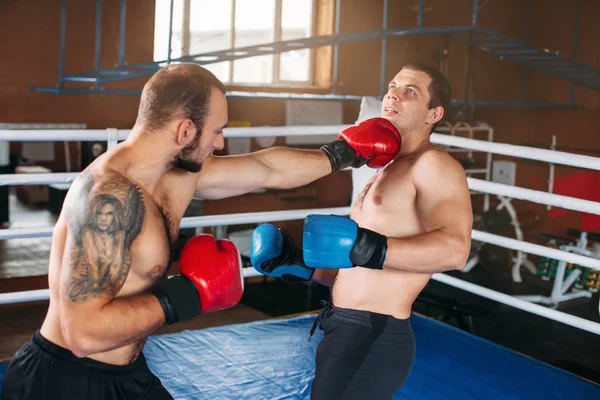 Twee boksers vechten — Stockfoto