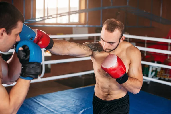 Two boxers fighting — Stock Photo, Image