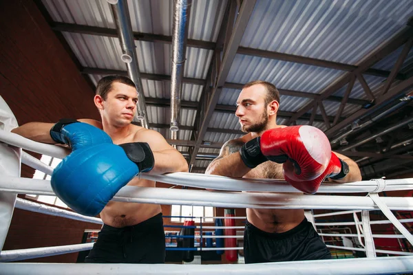 Twee boksers kijken elkaar op ring — Stockfoto