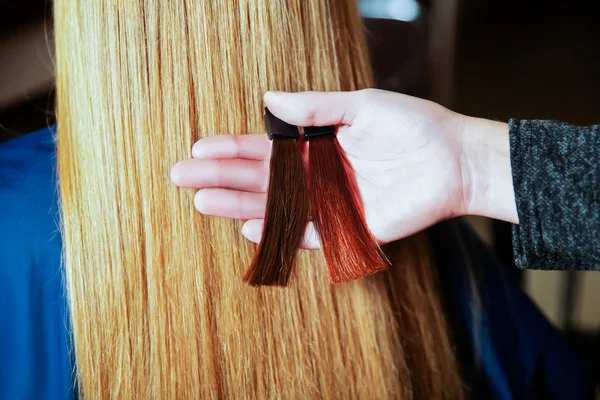 Barbeiro mostra para mulheres cores do cabelo — Fotografia de Stock