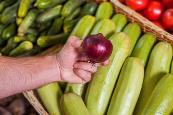 Mans hand shows onion. — Stock Photo, Image