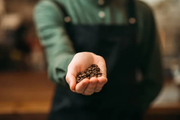 Barista tient des grains de café — Photo