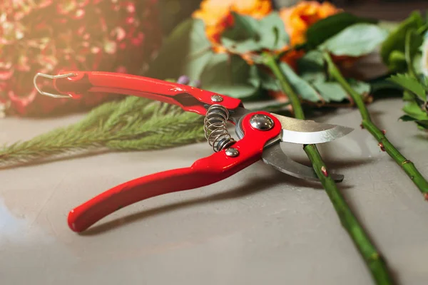 Forbici da giardino taglio gambo di rosa — Foto Stock