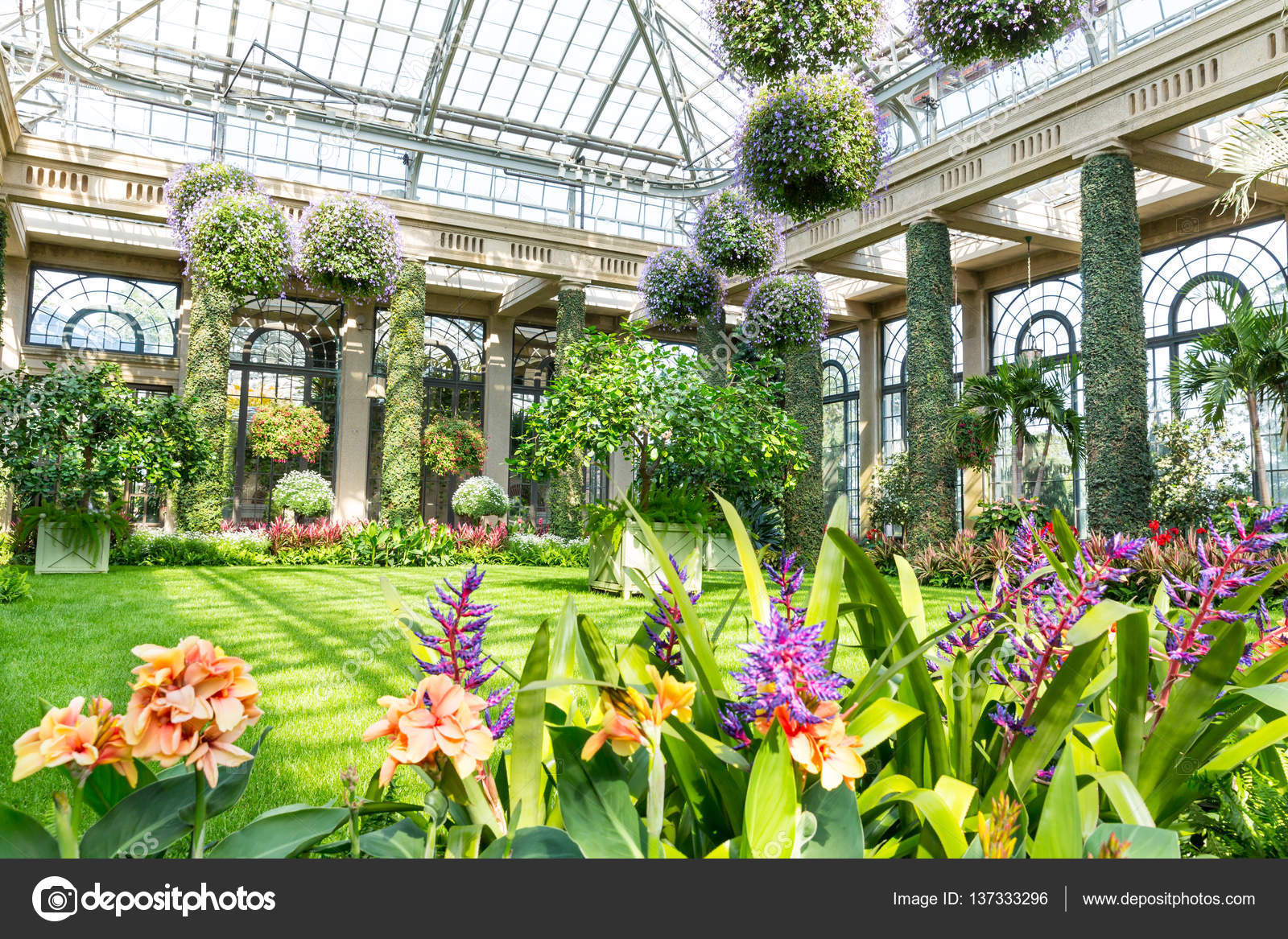 Greenhouse botanical garden Stock Photo by ©Nomadsoul1 137333296