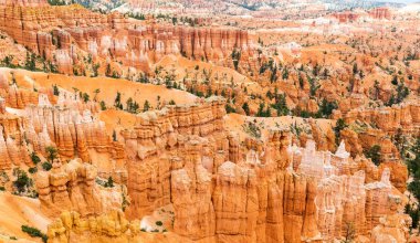 Bryce Canyon Milli Parkı içinde Usa