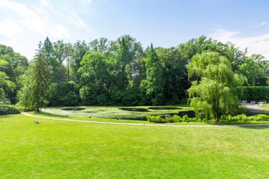 Taze çayır manzara