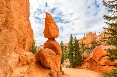 Bryce Canyon Milli Parkı içinde Usa