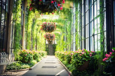 Beyaz metal tezgah sera içinde