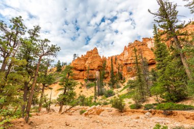 Bryce Canyon Milli Parkı içinde Usa