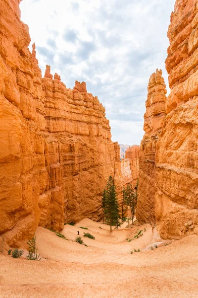 Bryce Canyon National Park, Amerikai Egyesült Államok — Stock Fotó