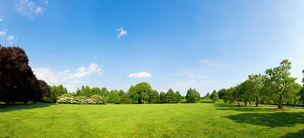 Färsk äng landskap — Stockfoto