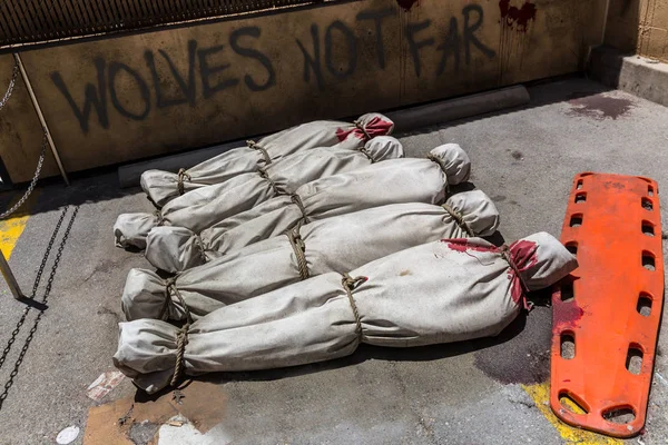 Cuerpos ensangrentados envueltos en bolsas — Foto de Stock