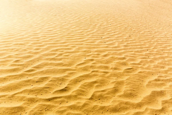 Sanddünen der Wüste — Stockfoto