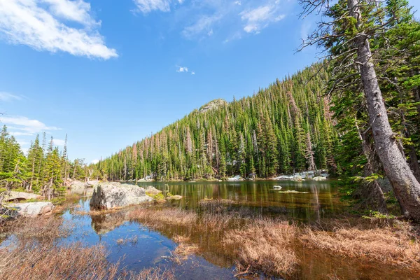 Estes Park w Stany Zjednoczone Ameryki — Zdjęcie stockowe