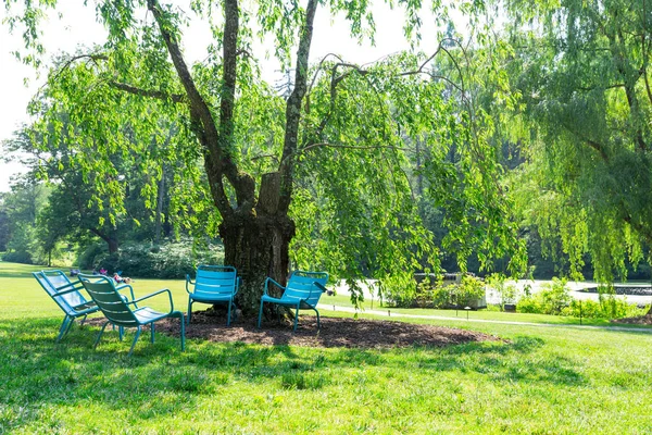 Pustych krzeseł w lato park — Zdjęcie stockowe