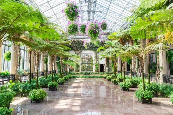 Schöner Garten Gewächshaus — Stockfoto