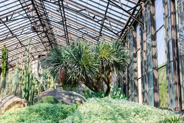Botanischer Gewächshausgarten — Stockfoto