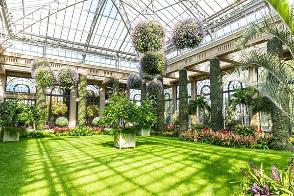 Gewächshaus Botanischer Garten — Stockfoto