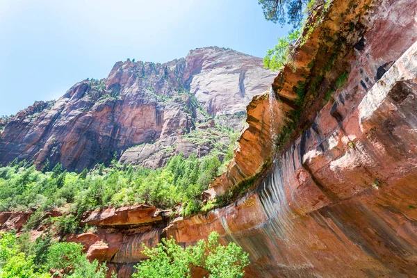 Zion National Park in USA — Stock Photo, Image