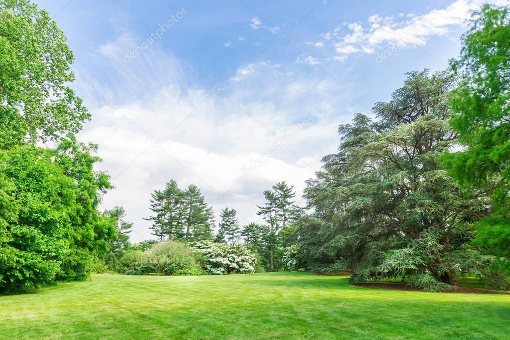 Fresh meadow landscape