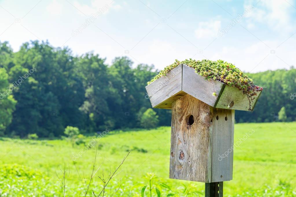 wooden nesting box on green meadow