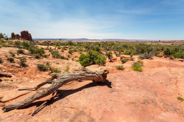 Anıt Vadisi Milli aşiret Parkı