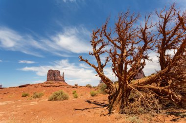 Anıt Vadisi Milli aşiret Parkı