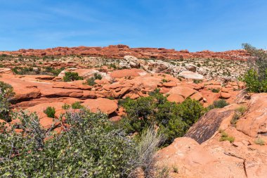 Arches Ulusal Parkı içinde usa