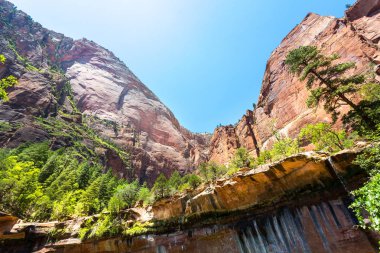 Zion National Park ABD