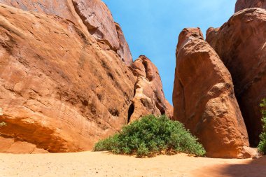 Kırmızı rocky Dağları 