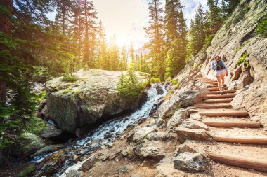 Estes Park ABD